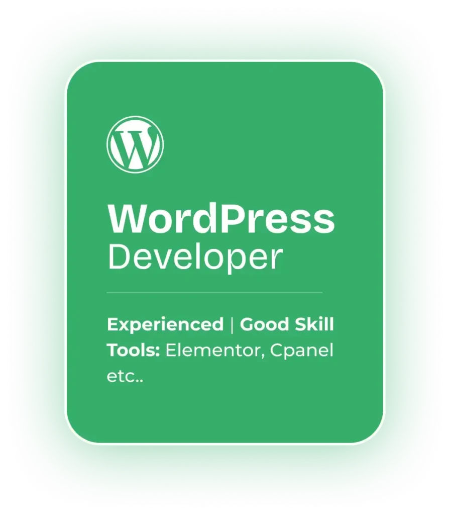 WordPress Developer